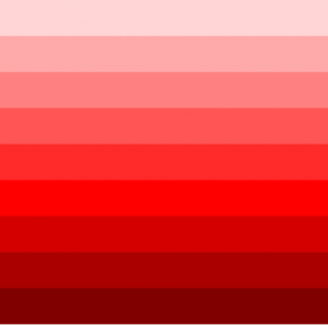 CPT Websites monochrome.svg