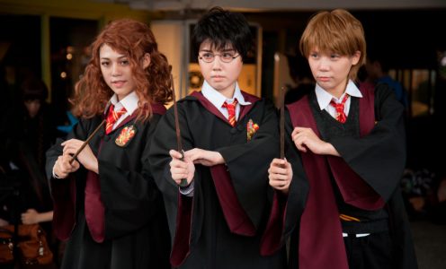 Dark Academia e la vendetta di Harry Potter